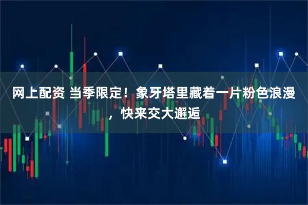 网上配资 当季限定！象牙塔里藏着一片粉色浪漫，快来交大邂逅