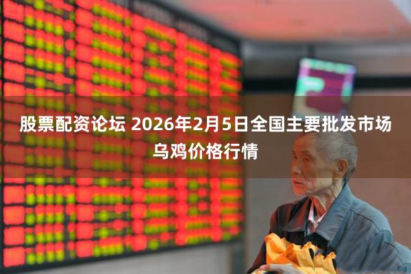 股票配资论坛 2026年2月5日全国主要批发市场乌鸡价格行情