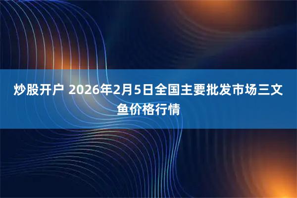 炒股开户 2026年2月5日全国主要批发市场三文鱼价格行情
