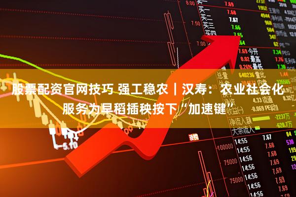 股票配资官网技巧 强工稳农｜汉寿：农业社会化服务为早稻插秧按下“加速键”